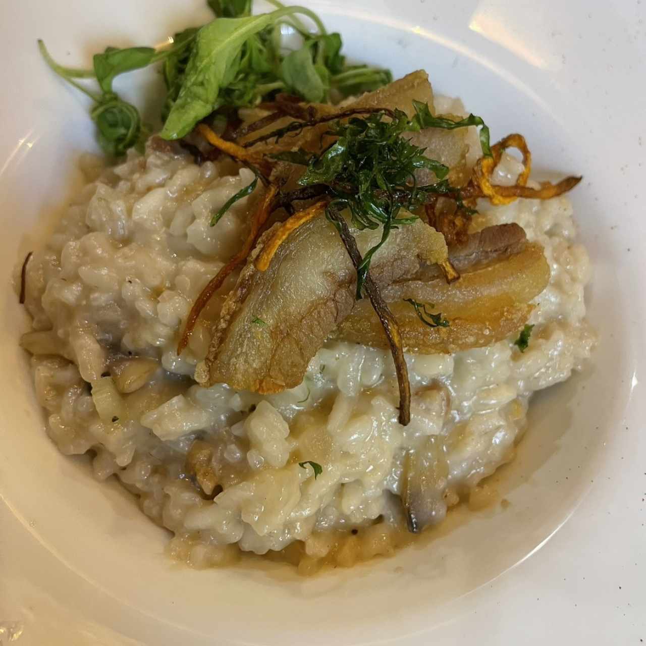 Risottos - Risotto Ai Funghi
