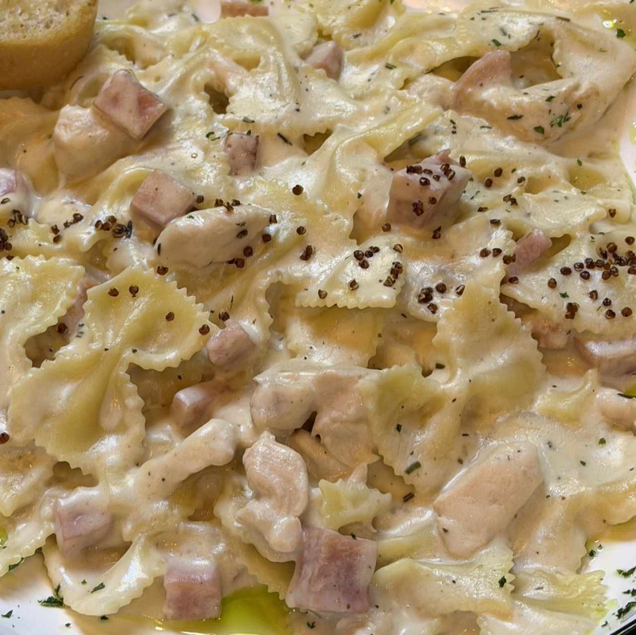 Pasta 