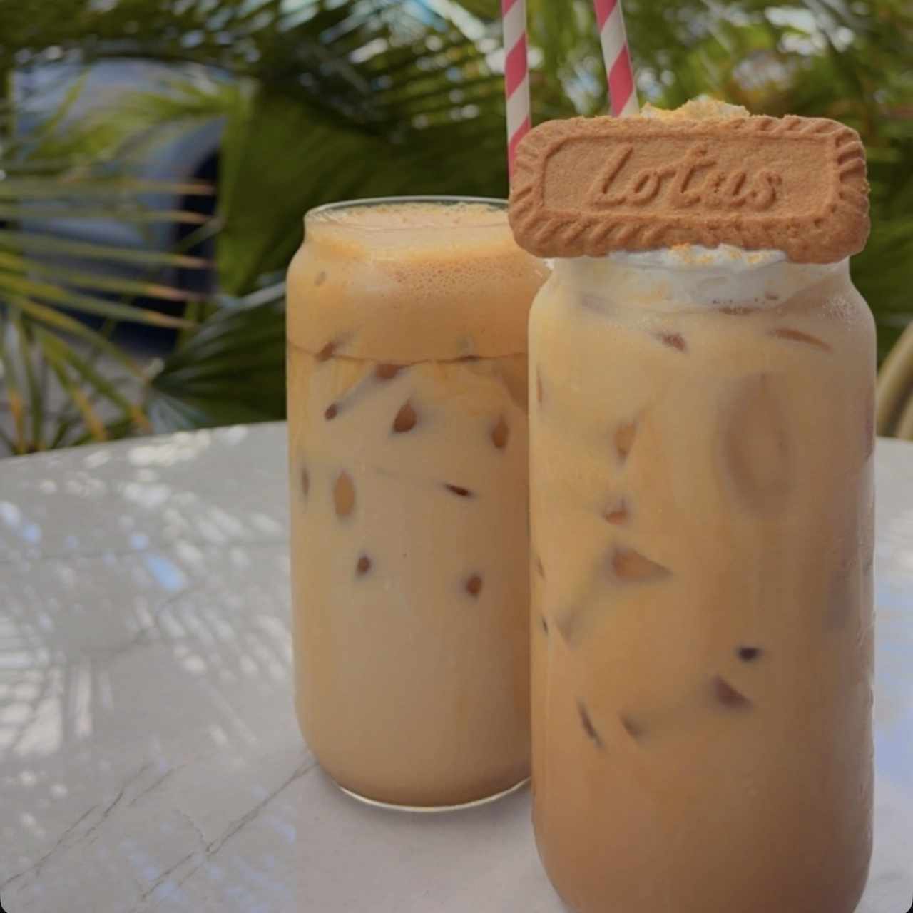 FAVORITOS - Lotus Latte
