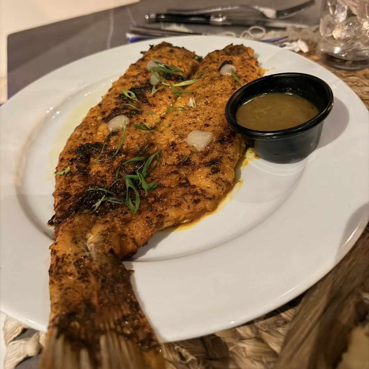 Cobia con flow (GF) (GF)