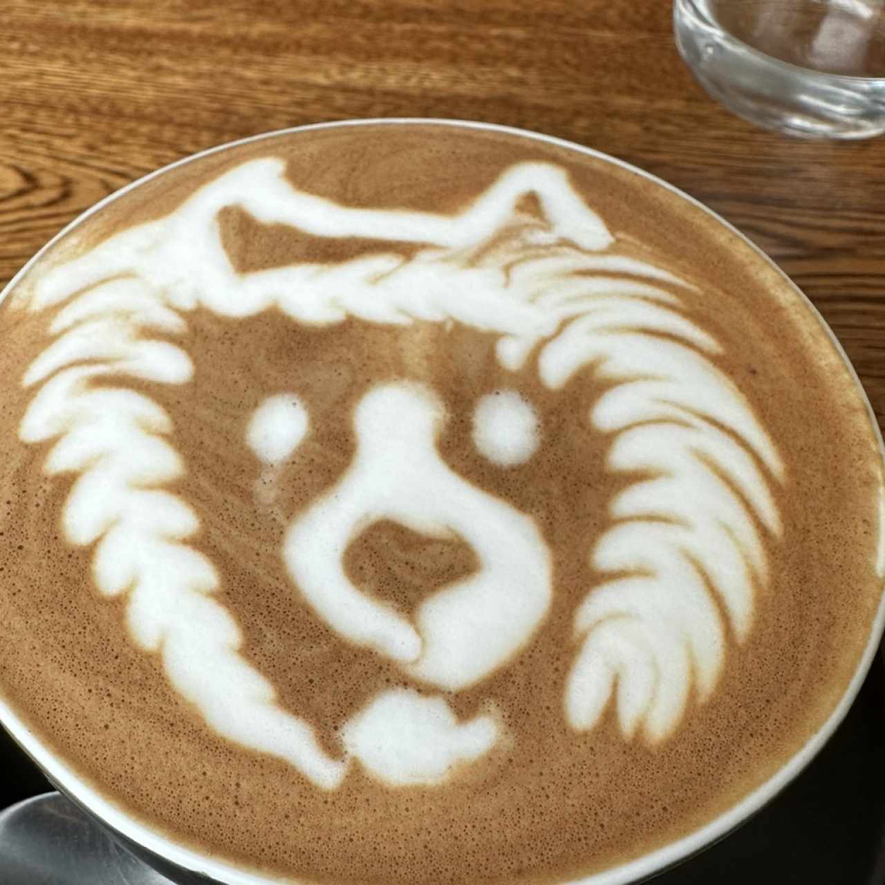 Moccacino 