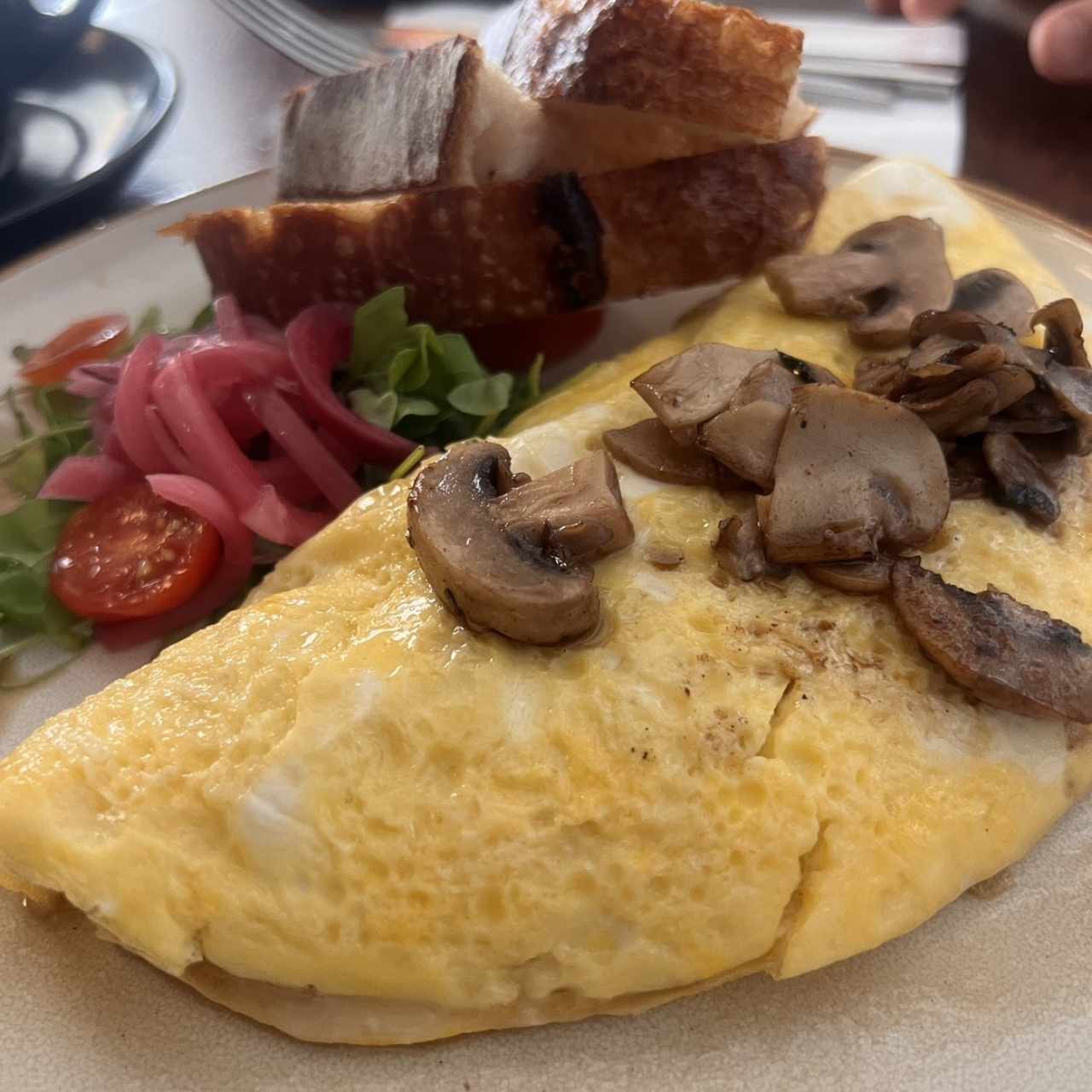 Egg Lovers - Omelette Brie