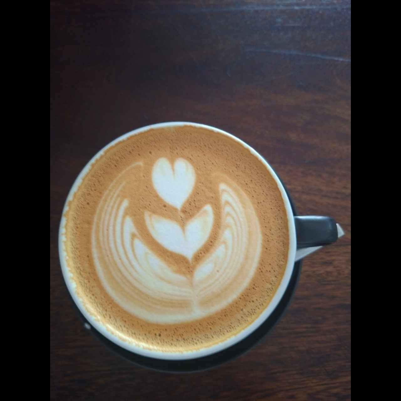 capuchino 