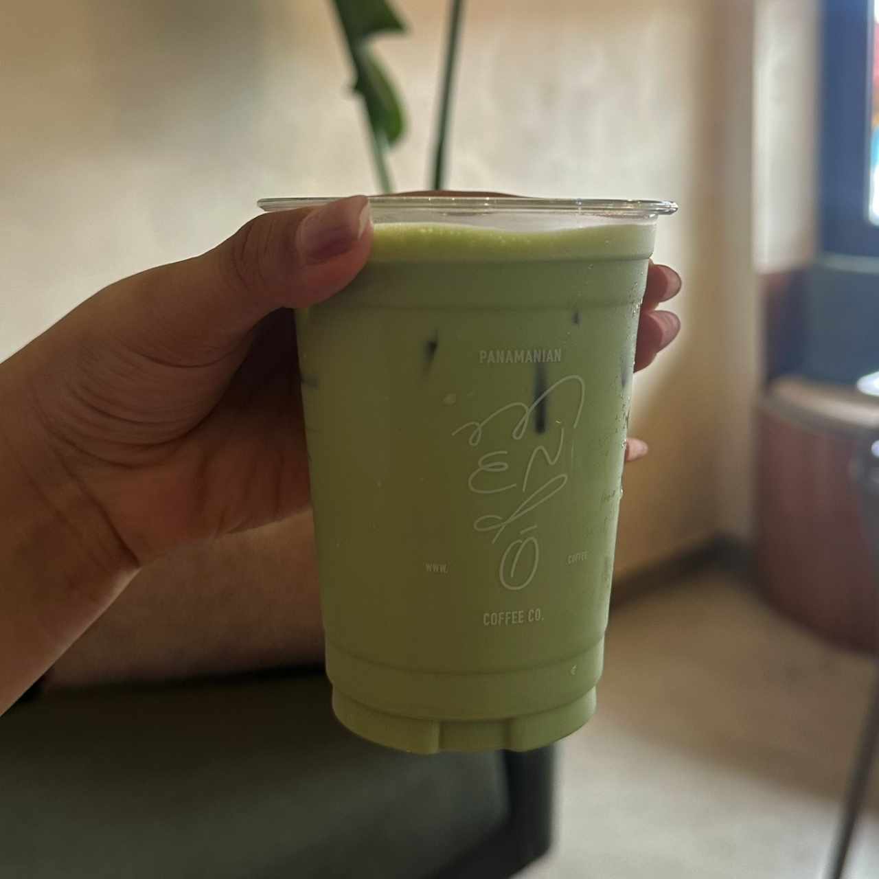 Matcha