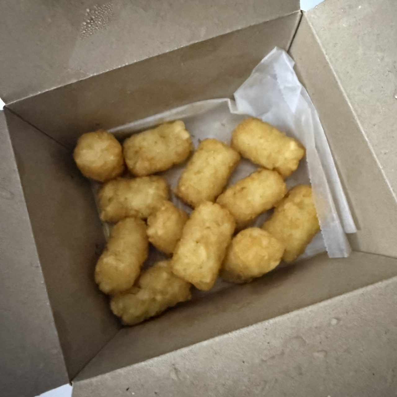 Extras - Papas Tot's