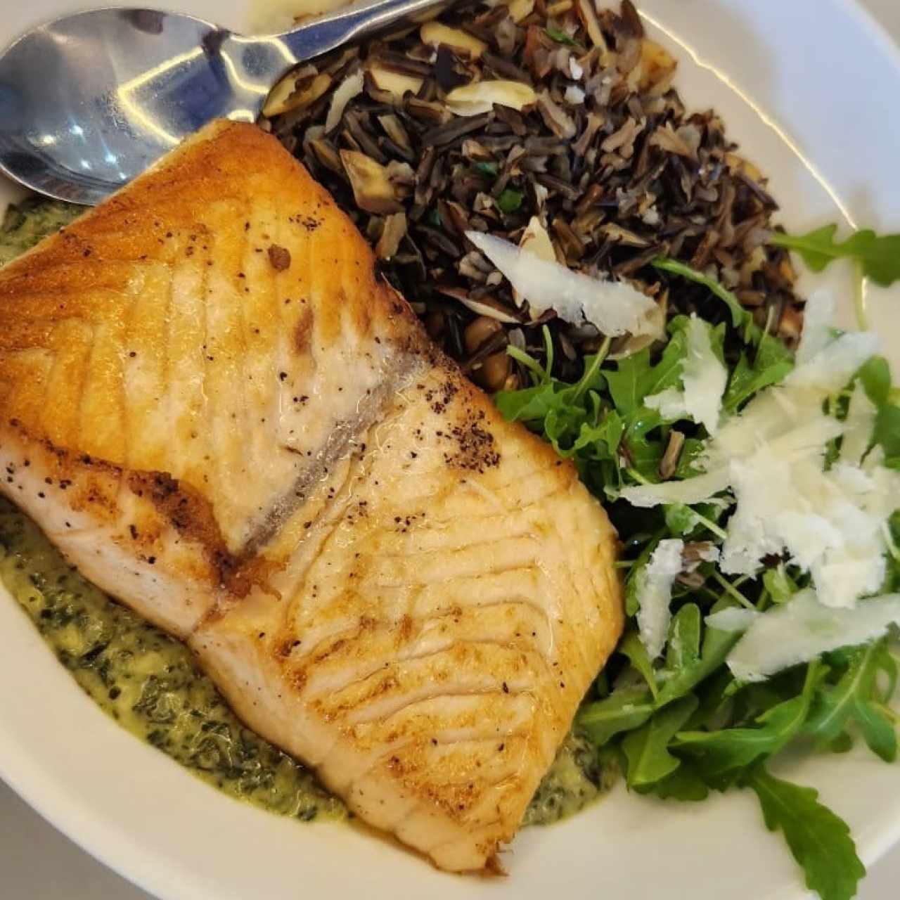 Salmon