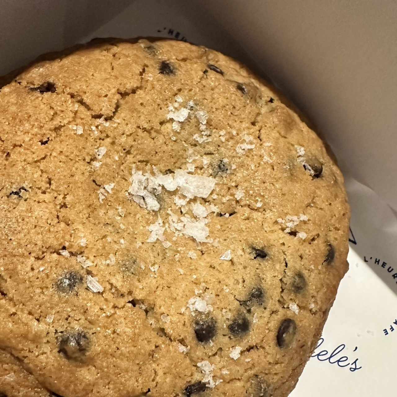 Chocolate Chip Cookie c/u