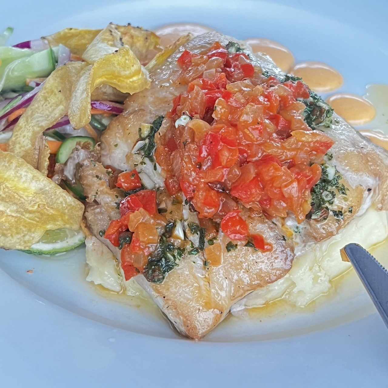 Corvina 
