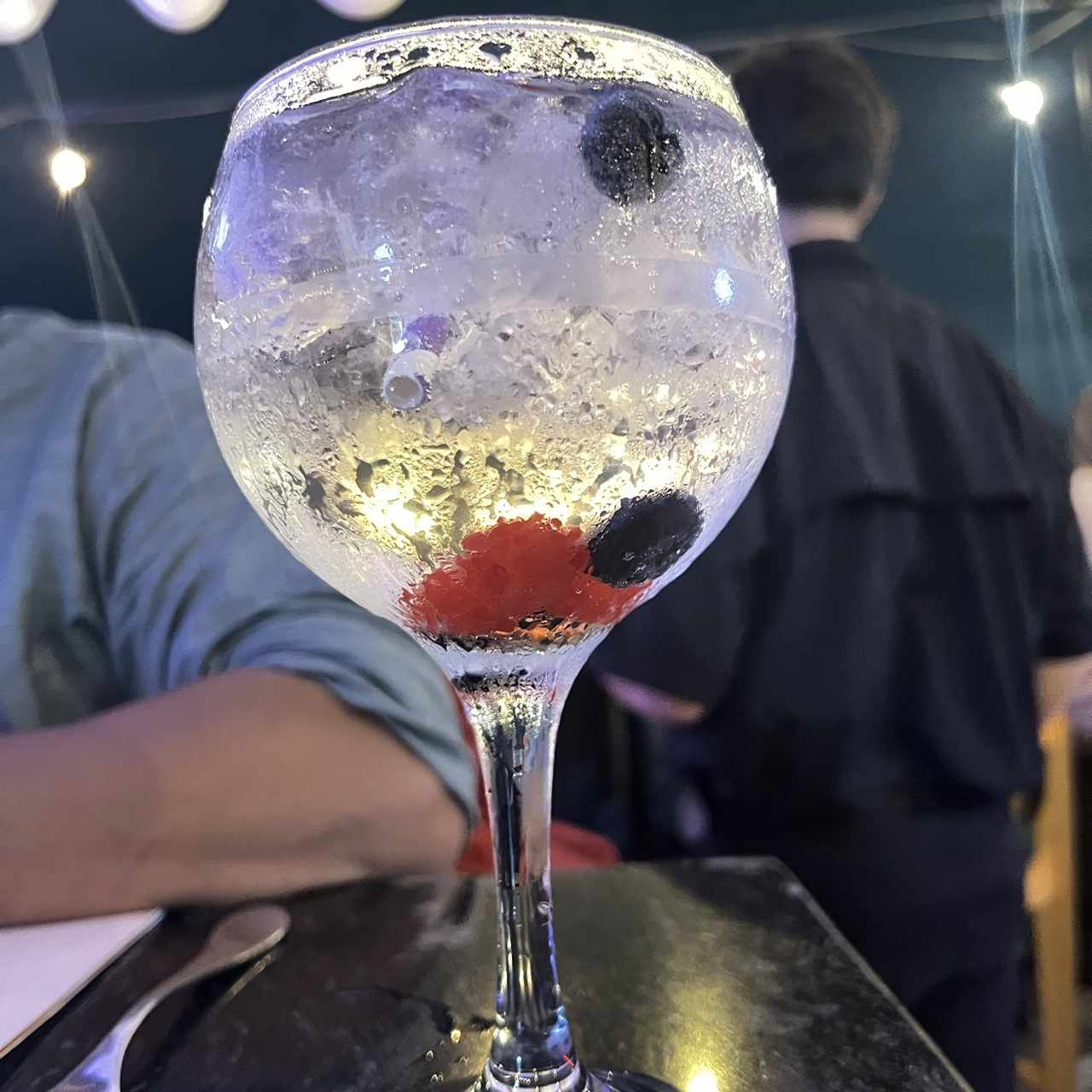 GIN TONIC CON FRUTOS ROJOS 