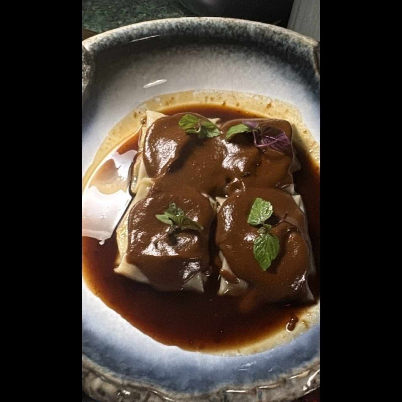 PARA COMPARTIR - DUMPLING DE RES