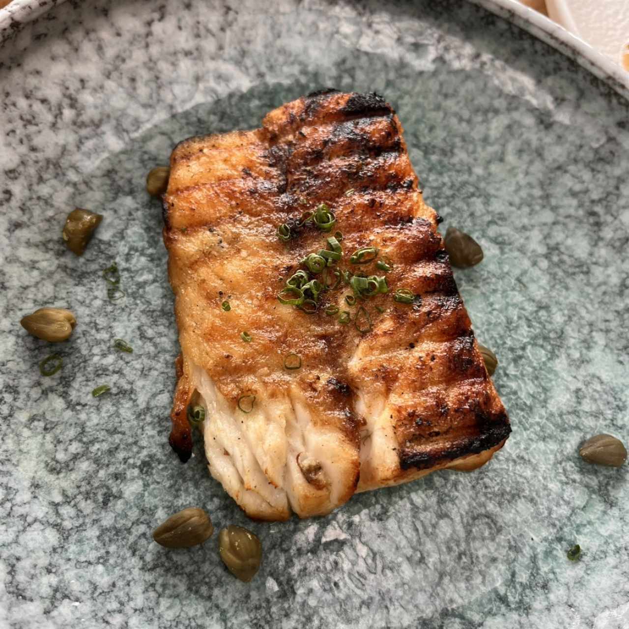 MAR - PESCA DEL DÍA