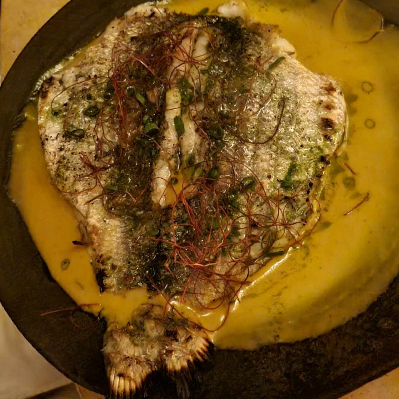 Pesca del Día 