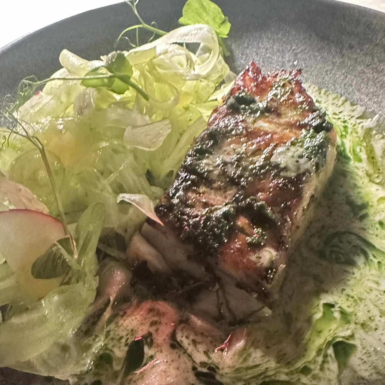 Corvina Popino 