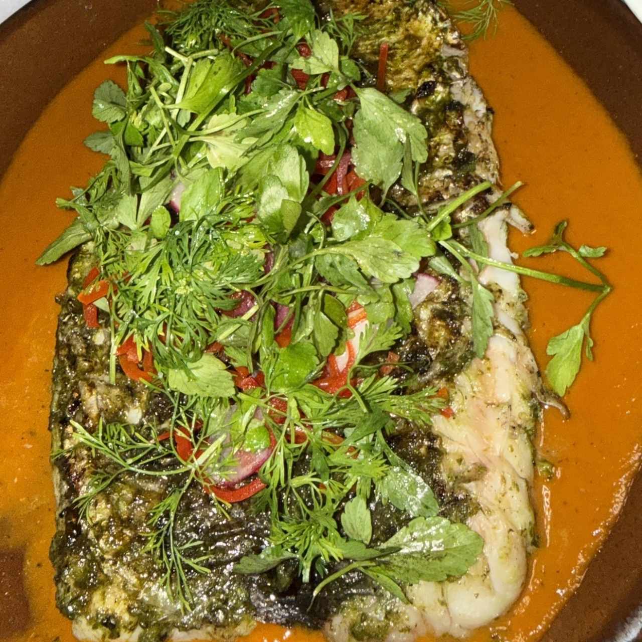 PESCA DEL DÍA (KF)