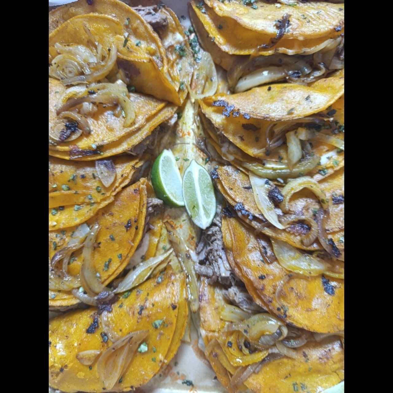 quesatacos 
