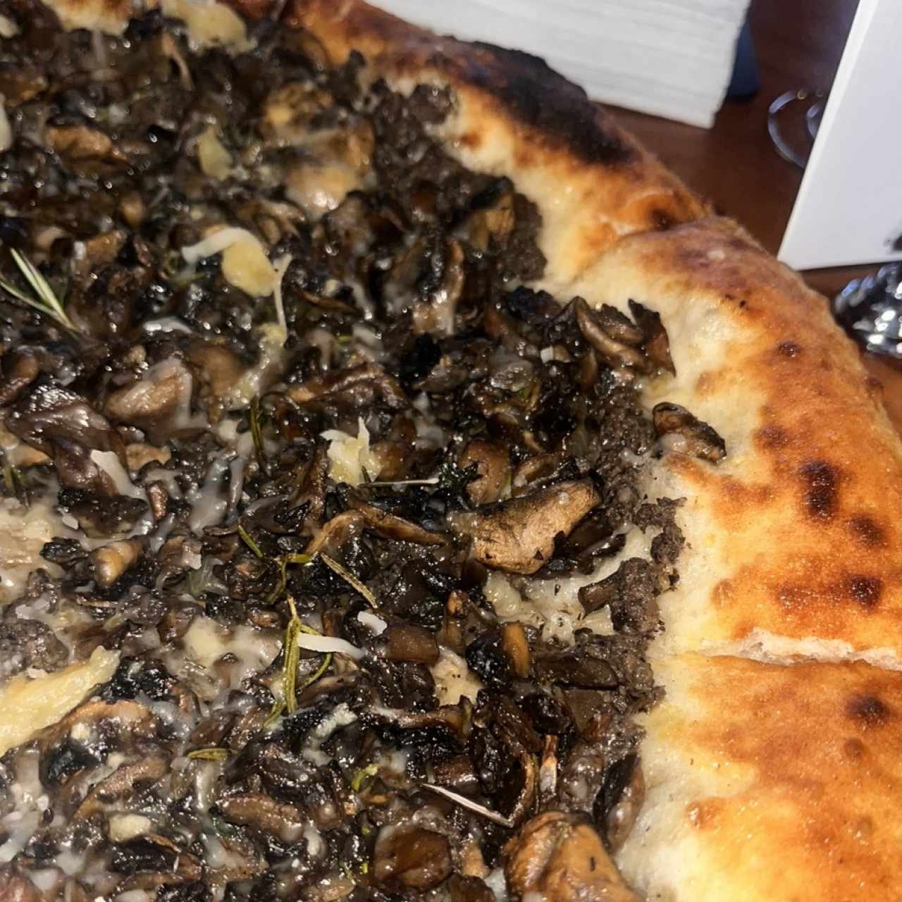 Especial de Hongos