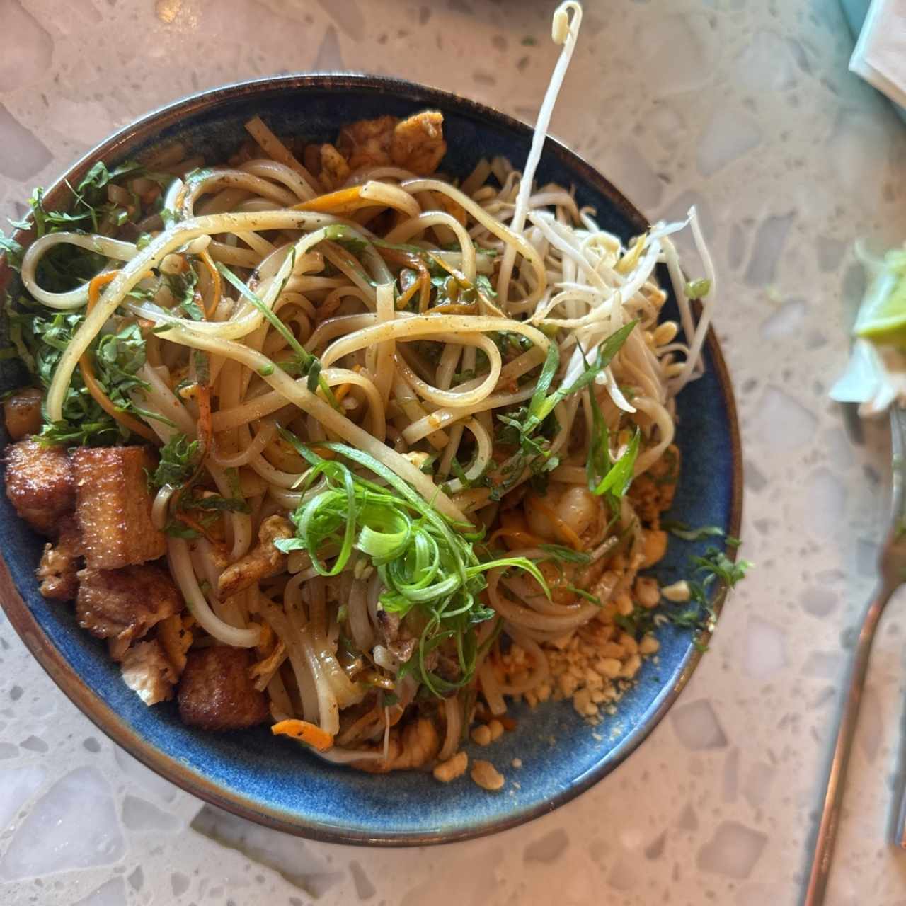Pad Thai Mixto (pollo, filete y langostinos)