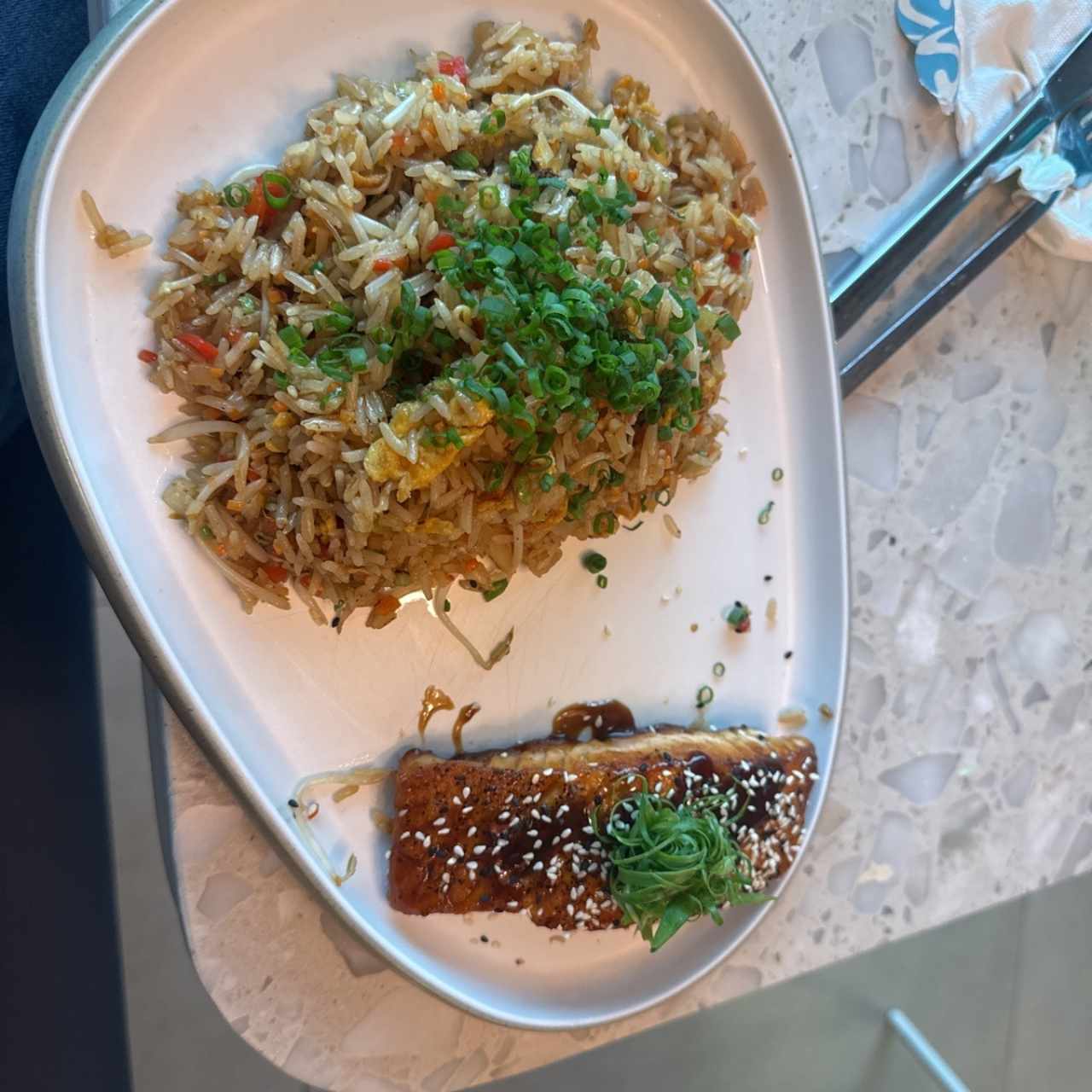 Yakimeshi Salmon 