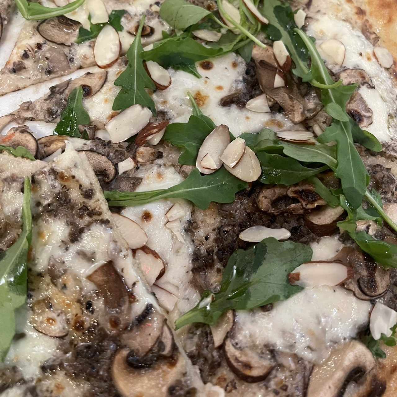 Pizzas Blancas - Tartufata