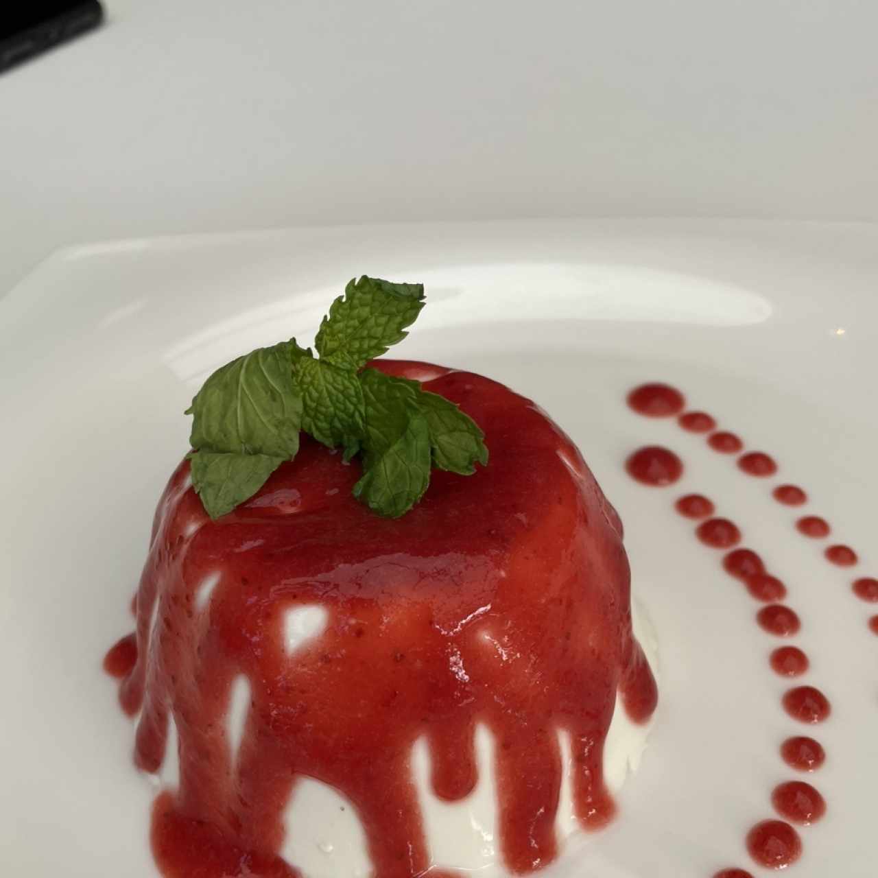 Pannacotta dw frutos rojos