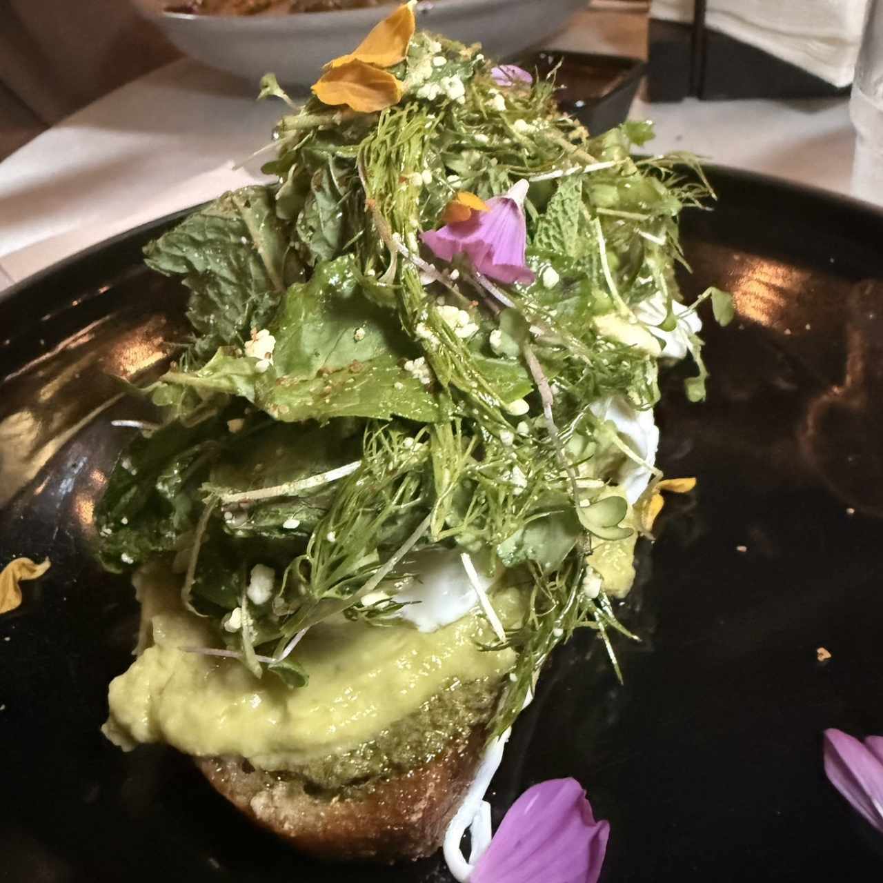 Avocado toast