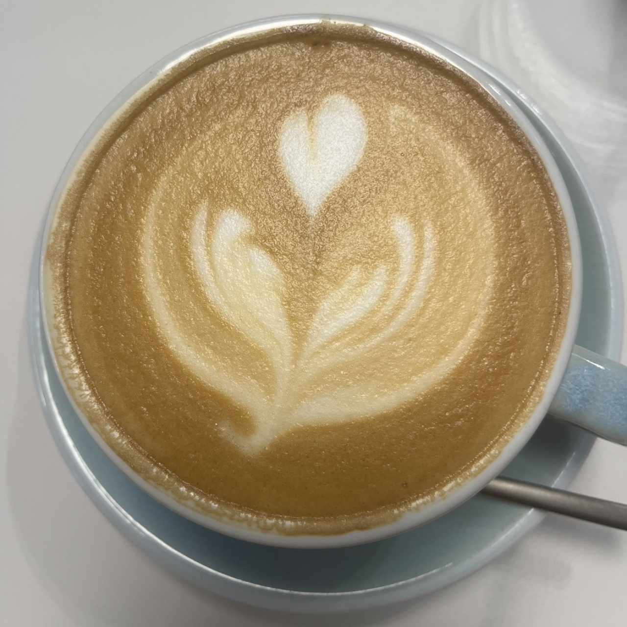 Capuchino