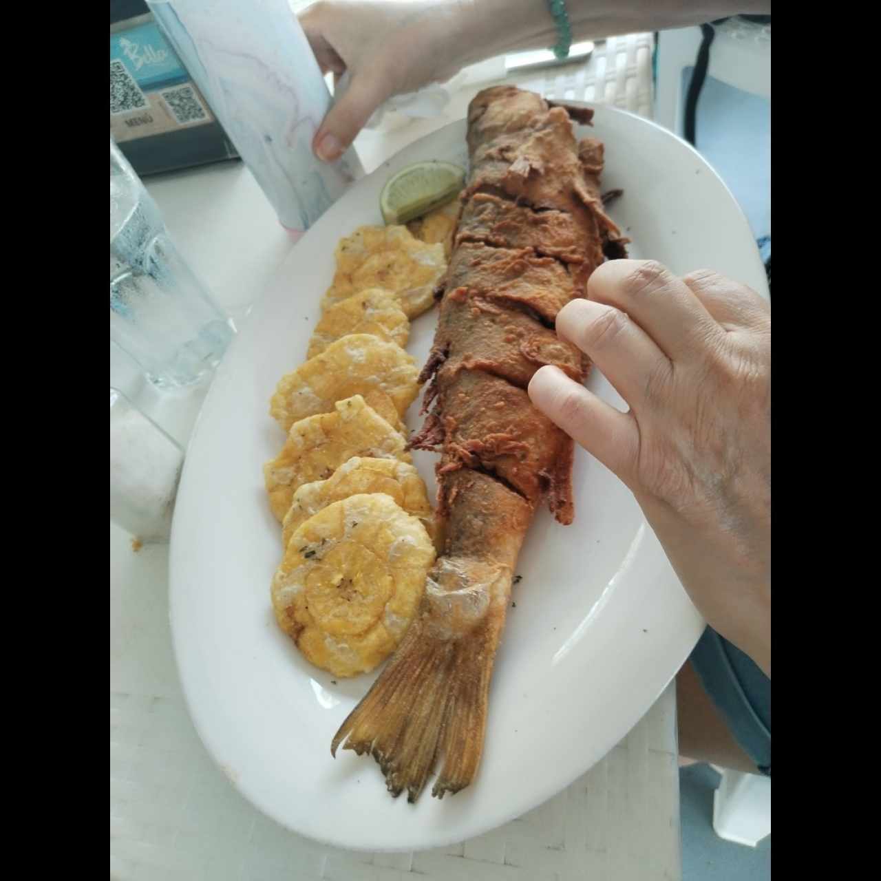 Pescado Corvina o Pargo