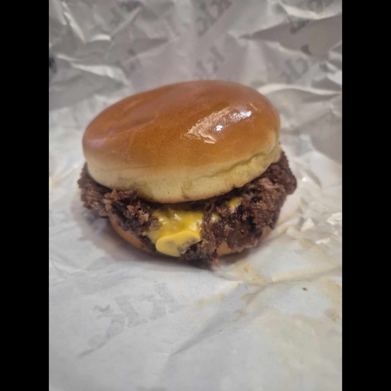 The Burgers - Made From-Pickles