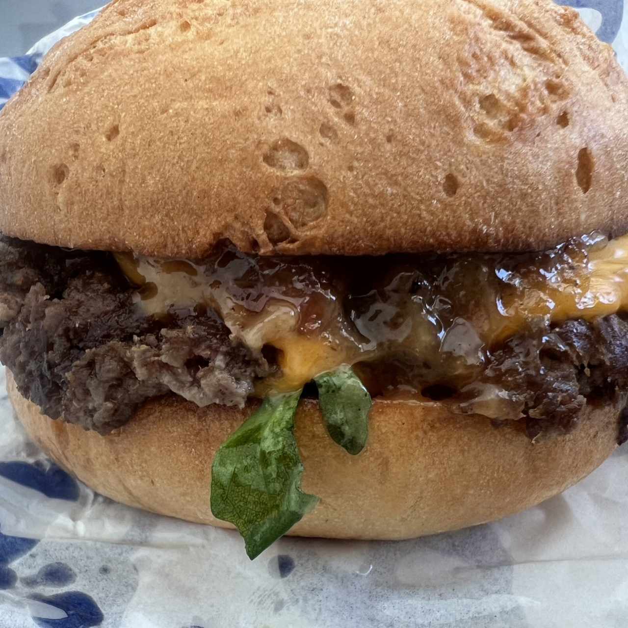 The Burgers - The Lukas #1