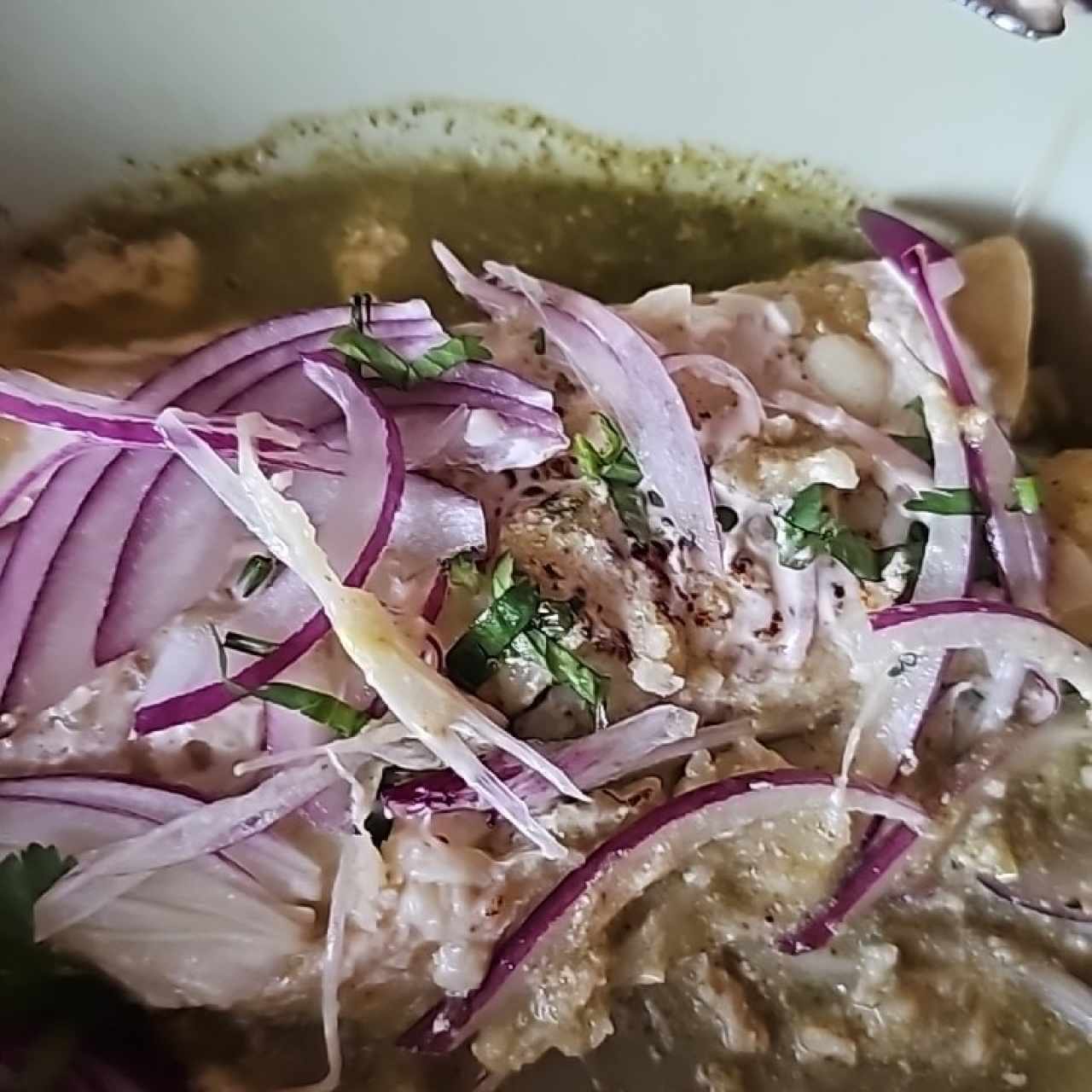 Especialidades - Enchiladas Suizas