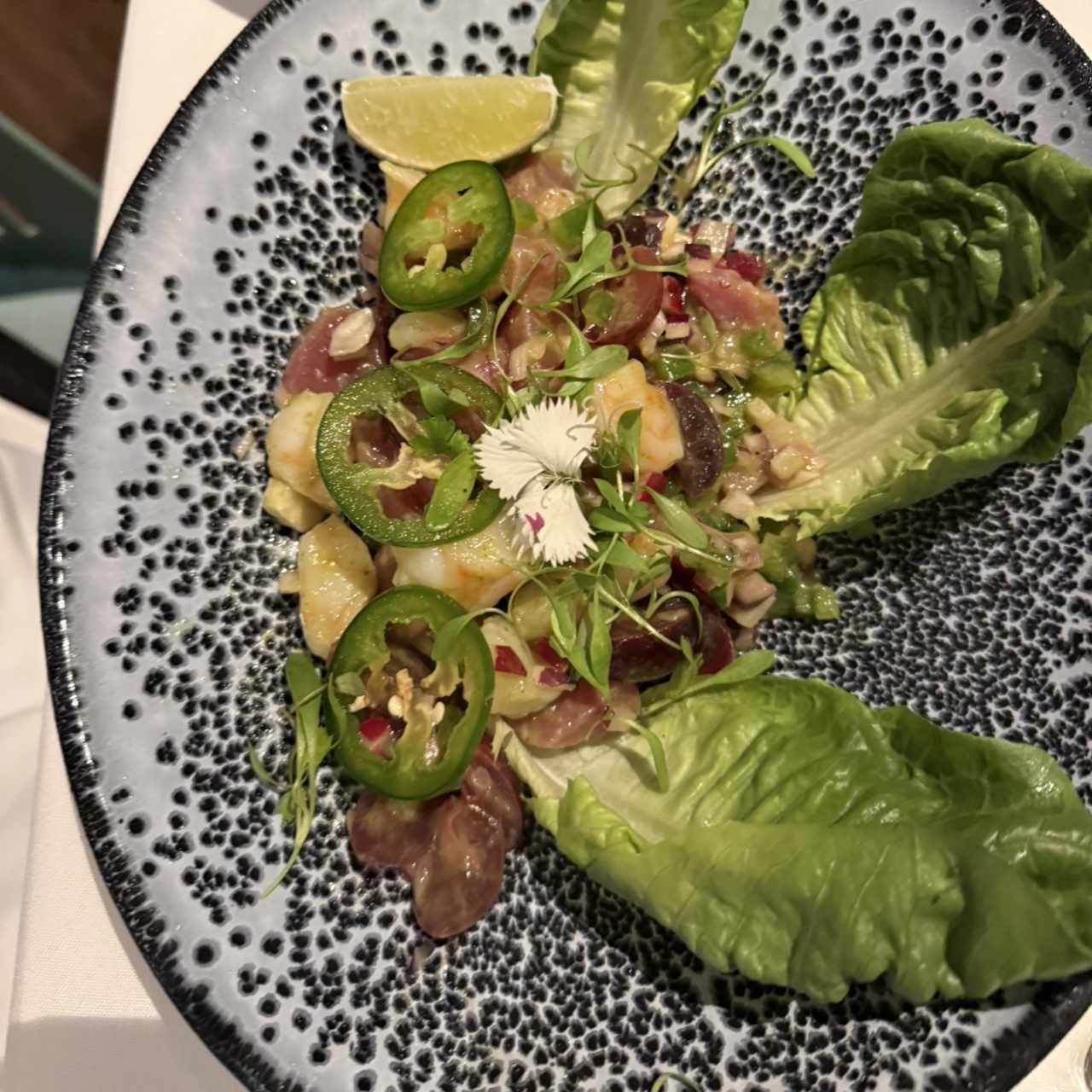 NO ES UN CEVICHE