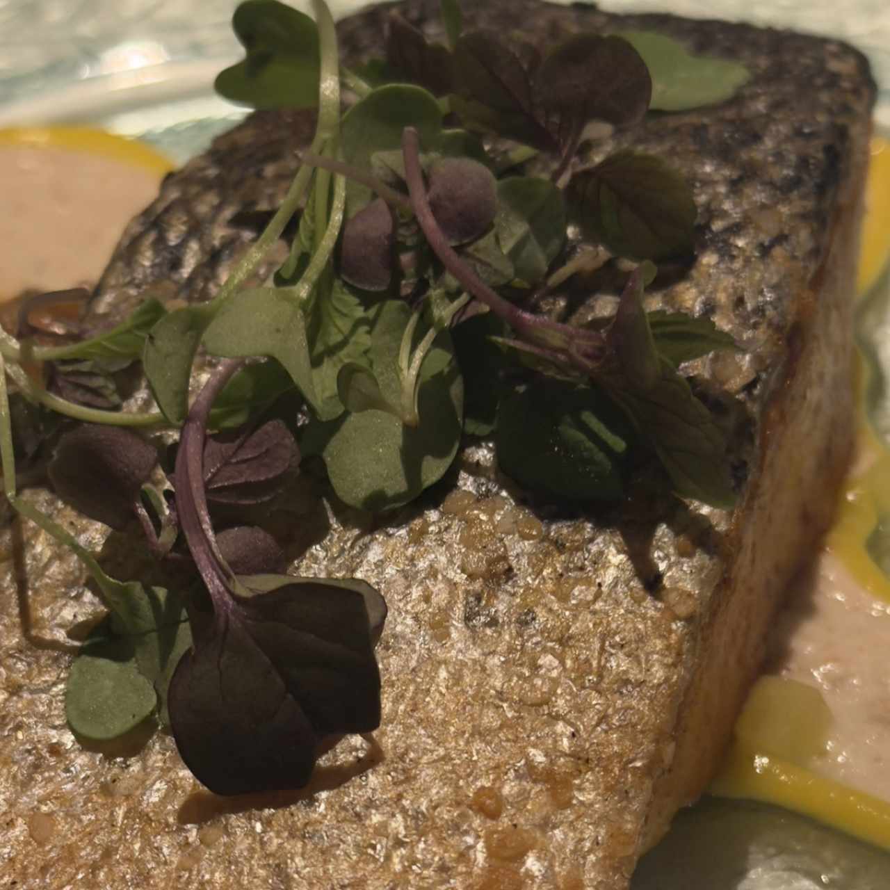 DEL MAR - SALMÓN HOKKAIDO