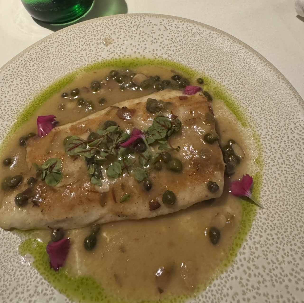 Corvina