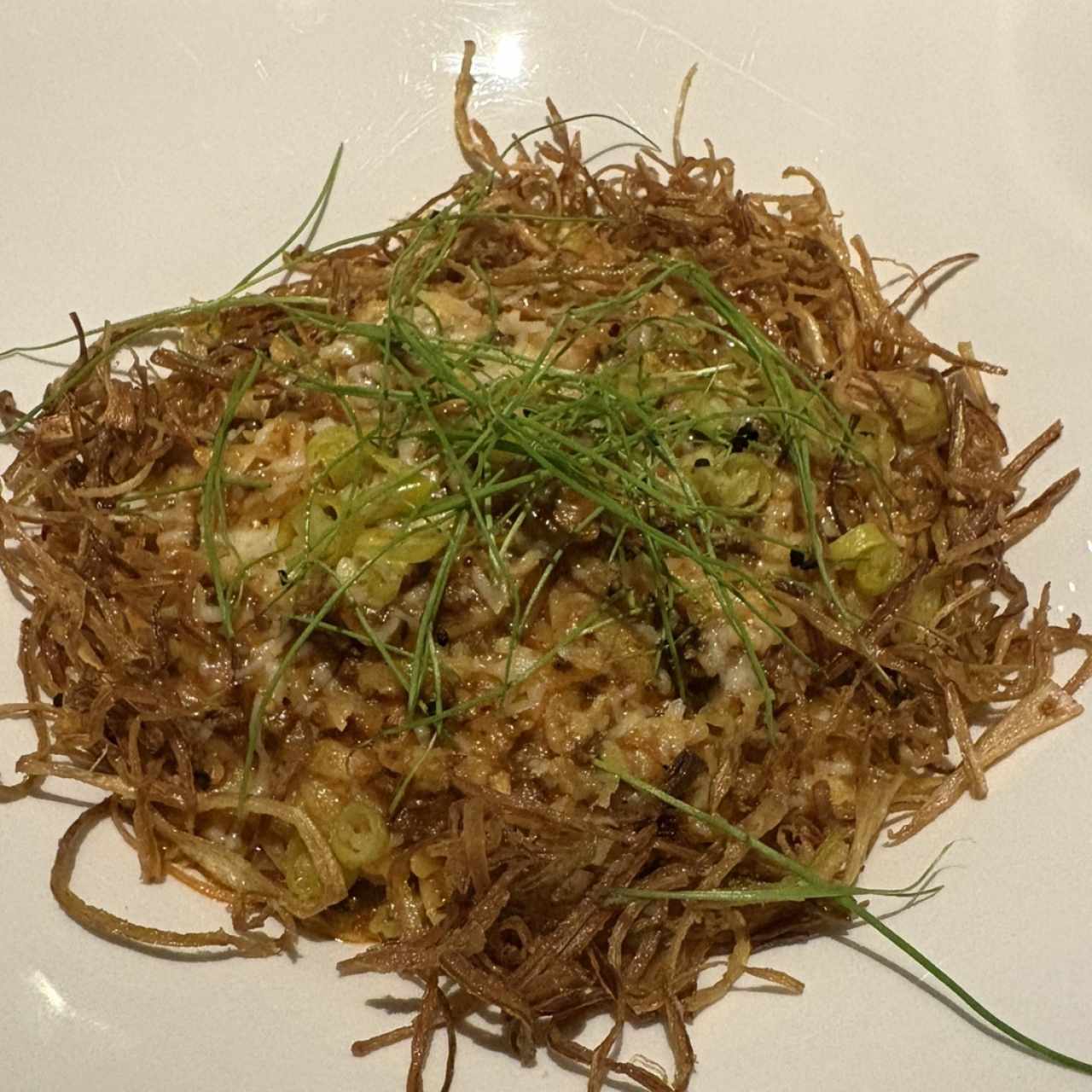 Orzo