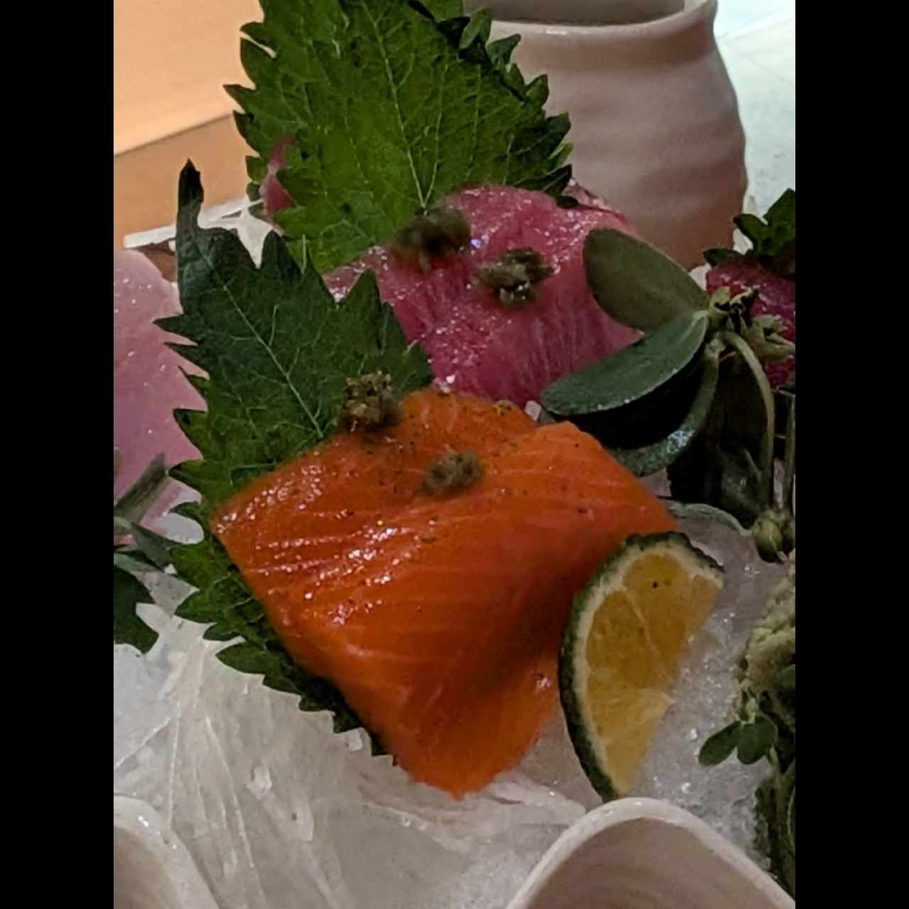 Nigiri - Oh Toro