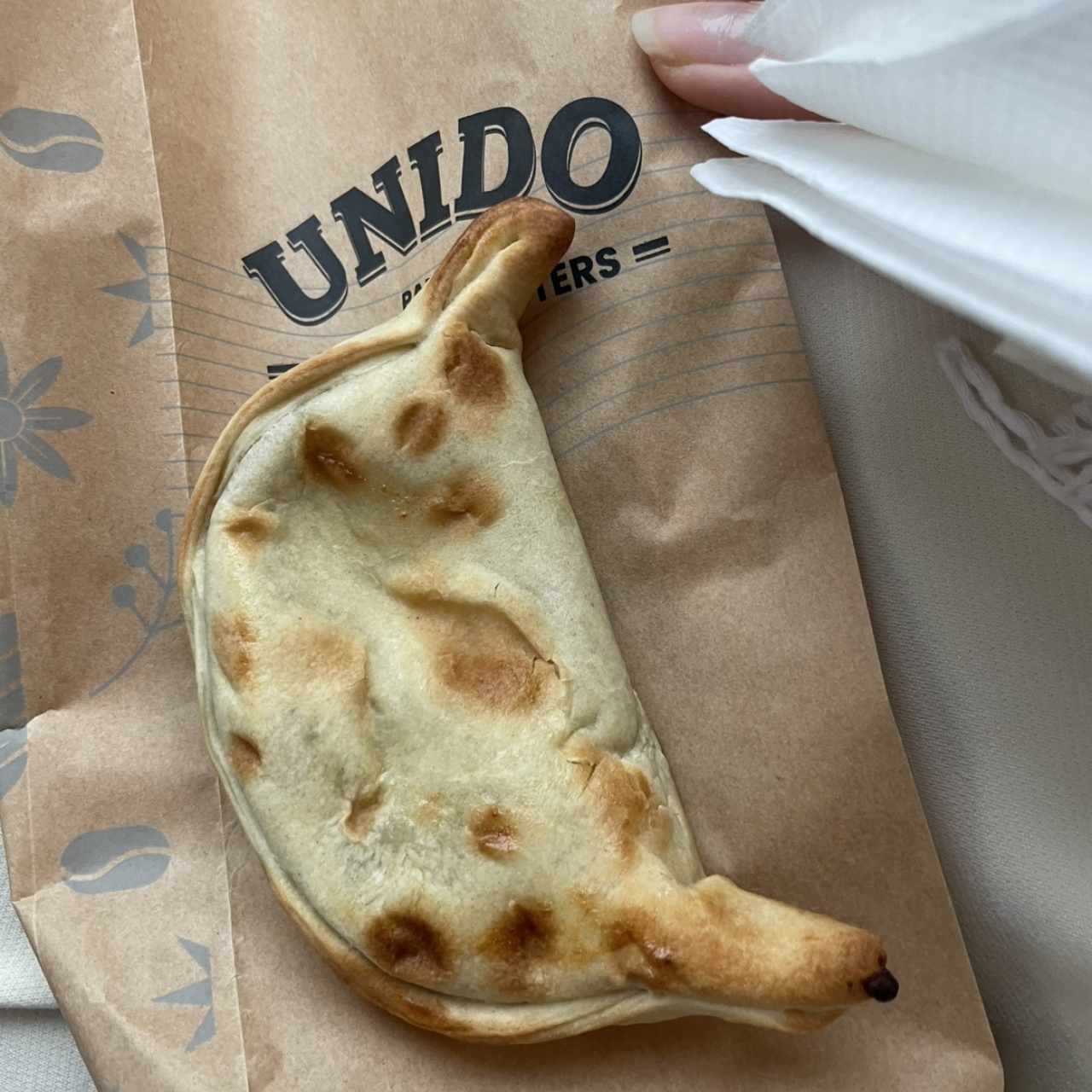 Empanada de Carne