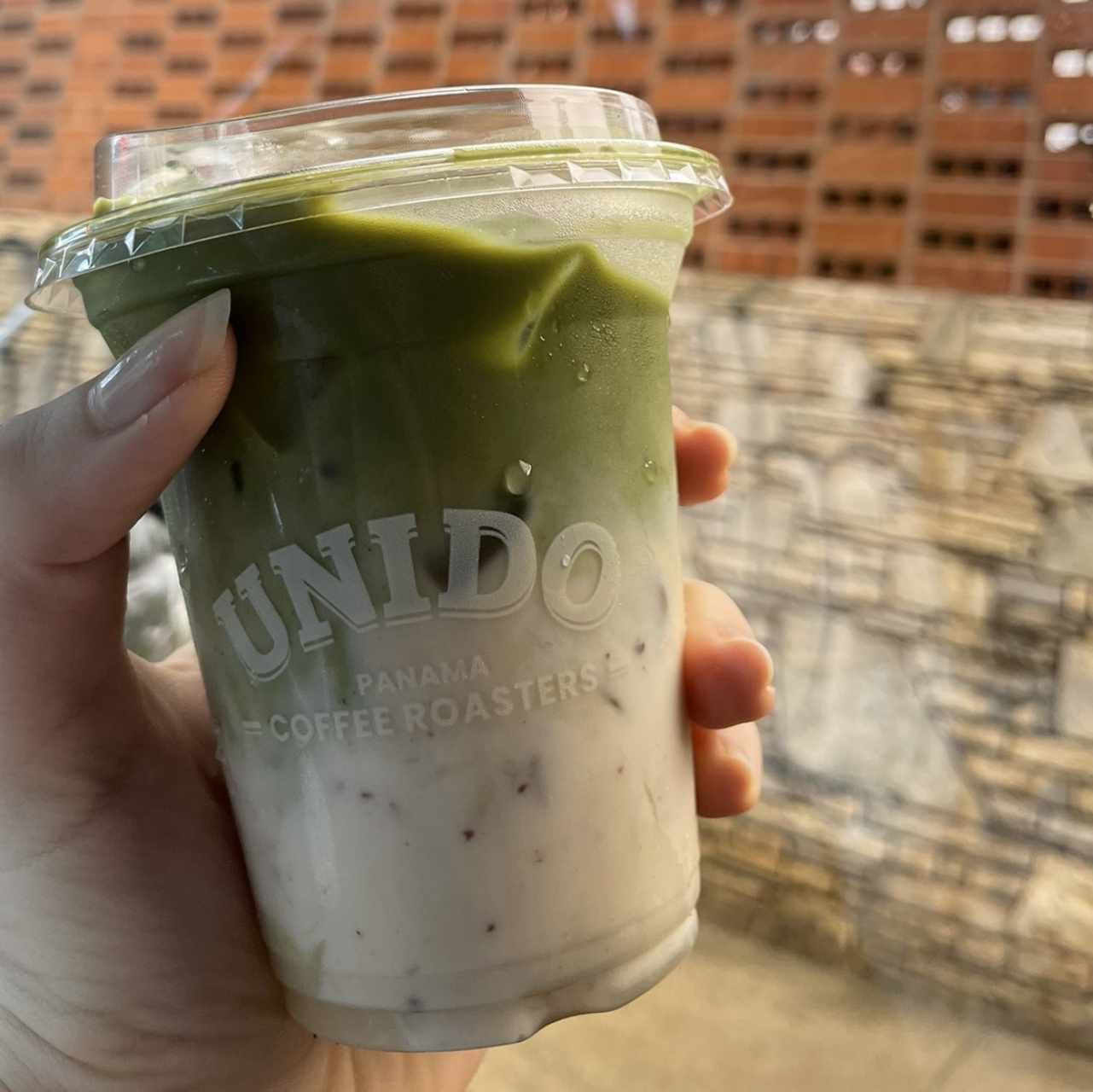 Chicha e’ Matcha