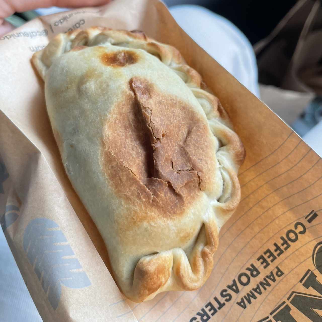 Empanada de Carne Picante
