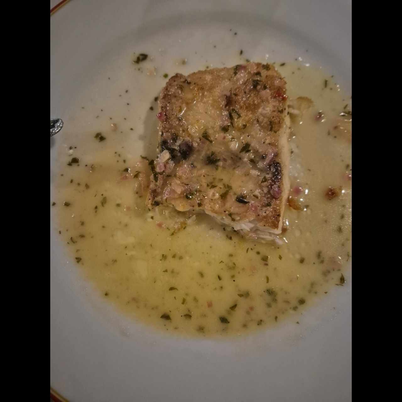 Pesca del día 