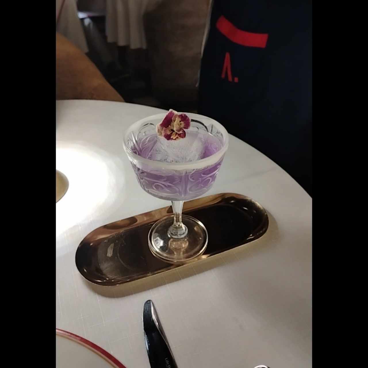Viola
