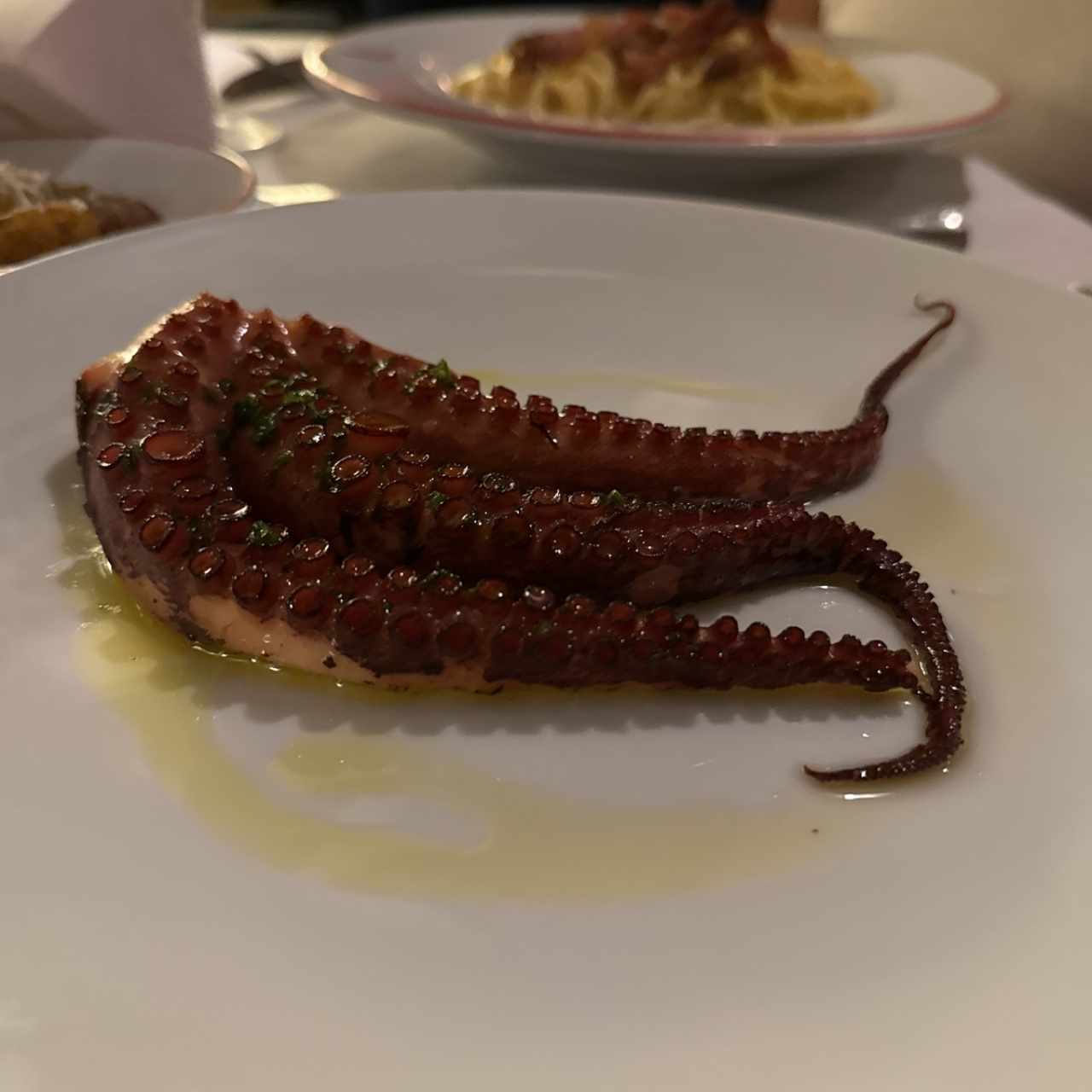 Pulpo