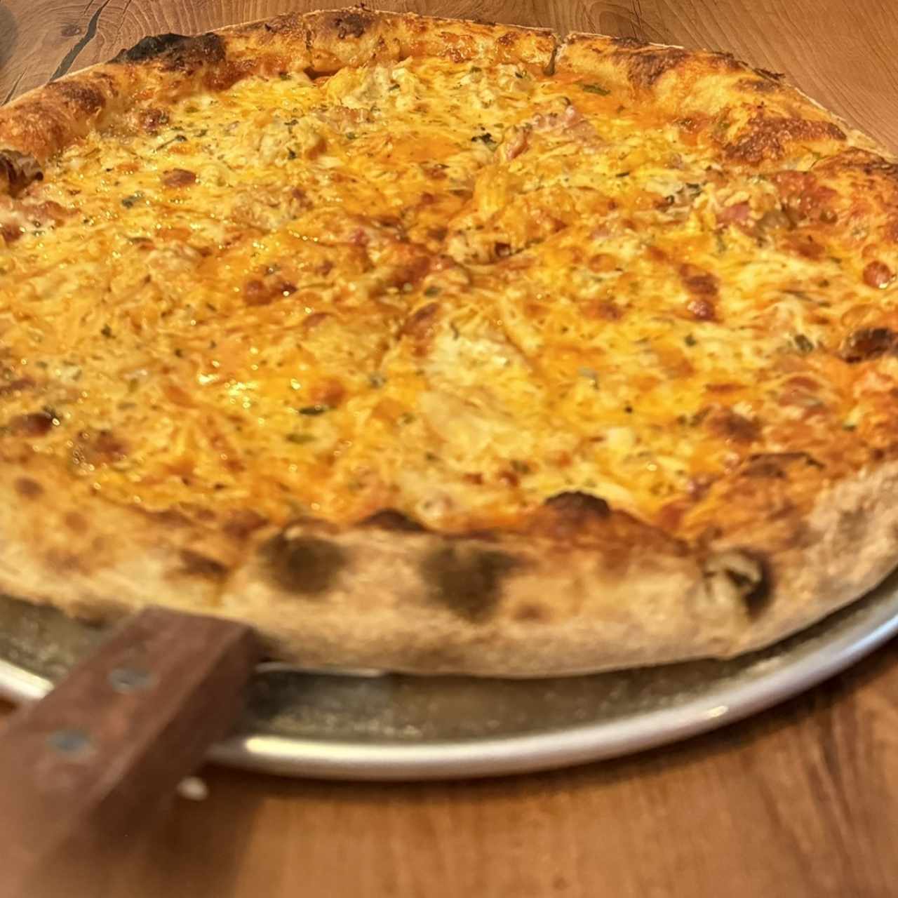 Pollo, bacon y cheddar 