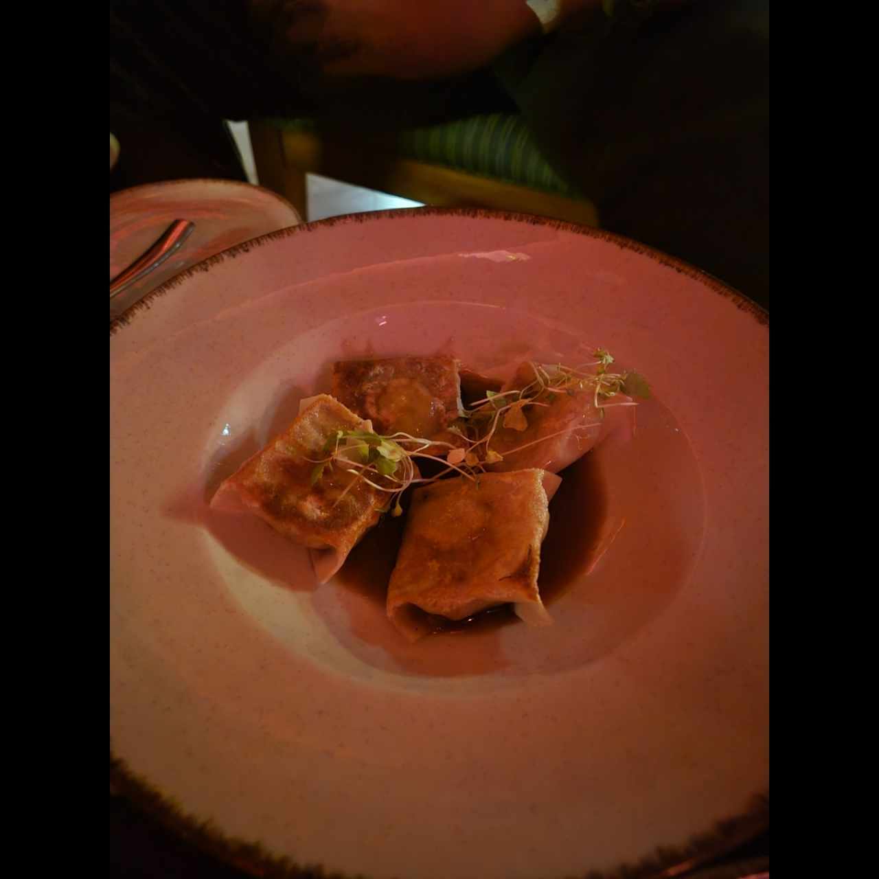 Pork Dumplings