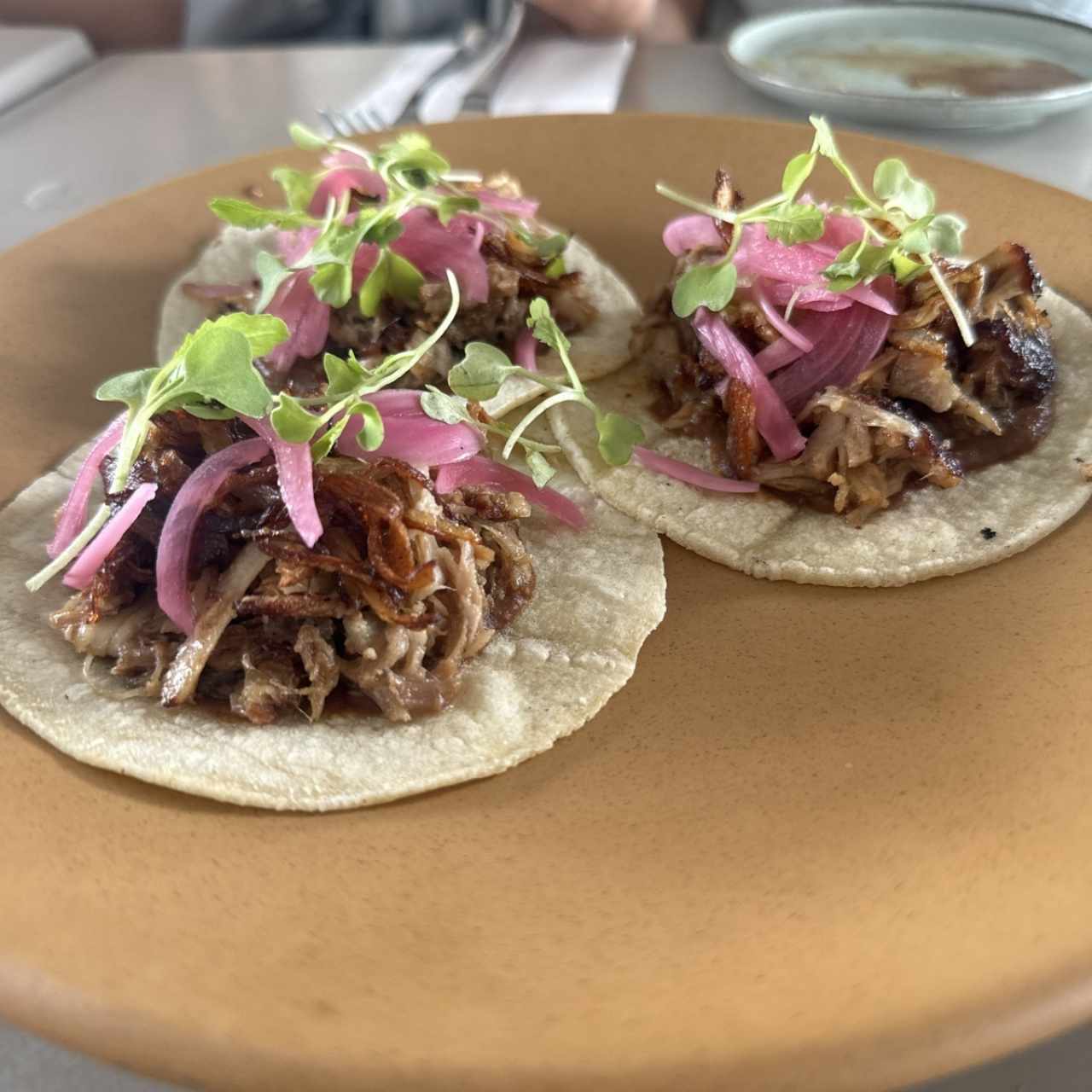 Confit pork tacos