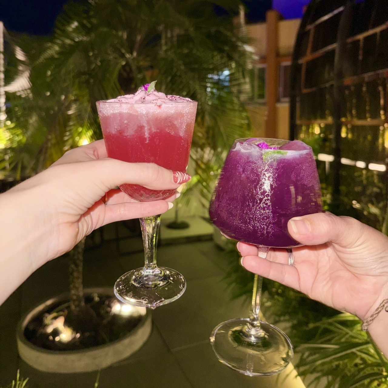 Bebidas 