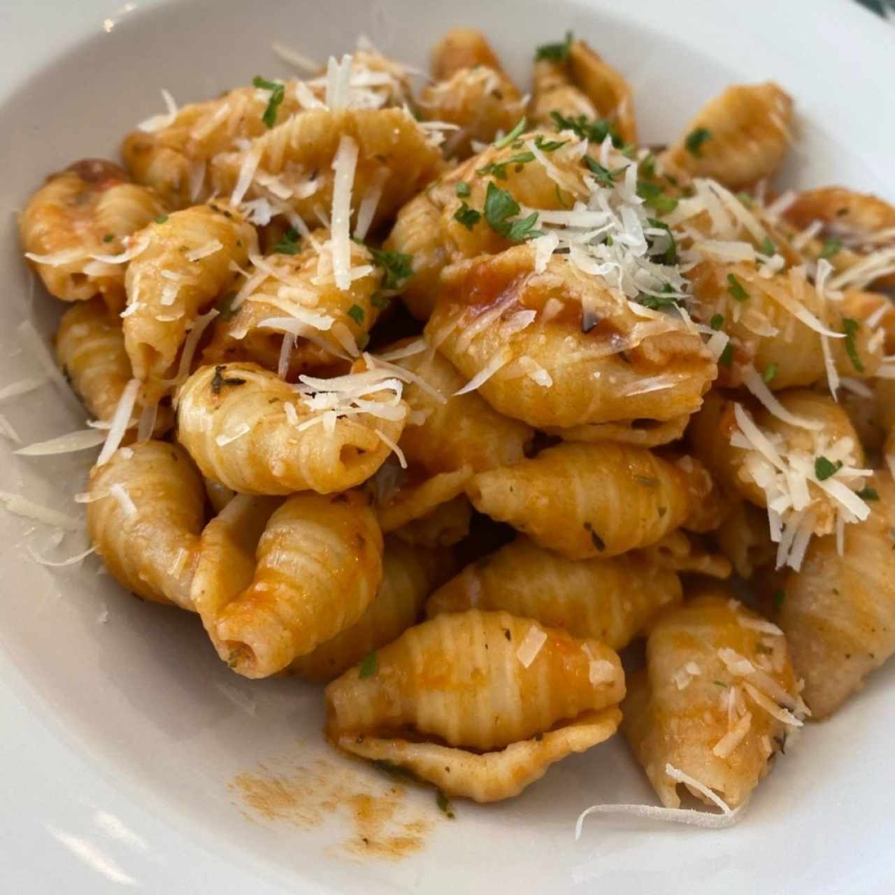 Conchigle Rigate