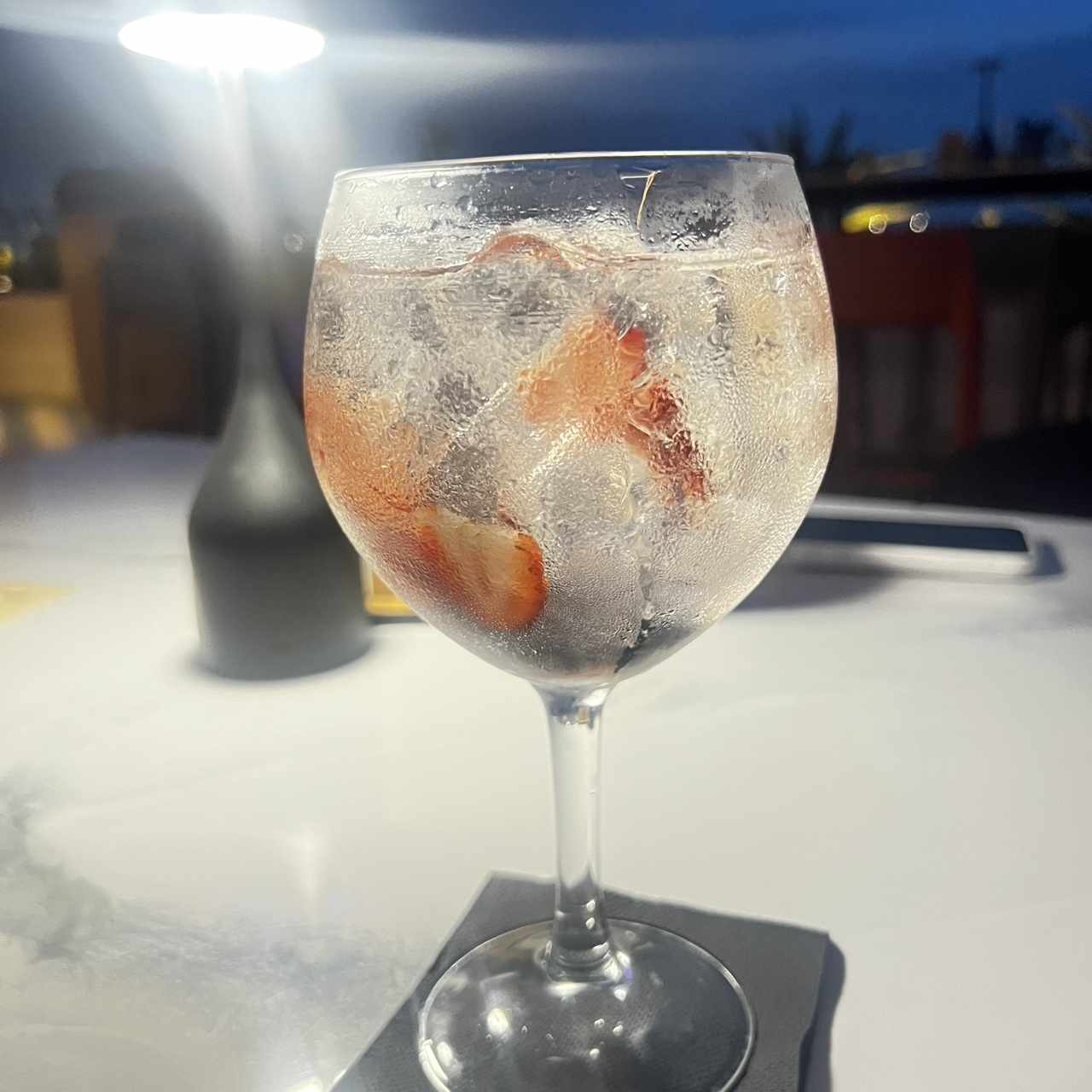Gin de Frutos Rojos