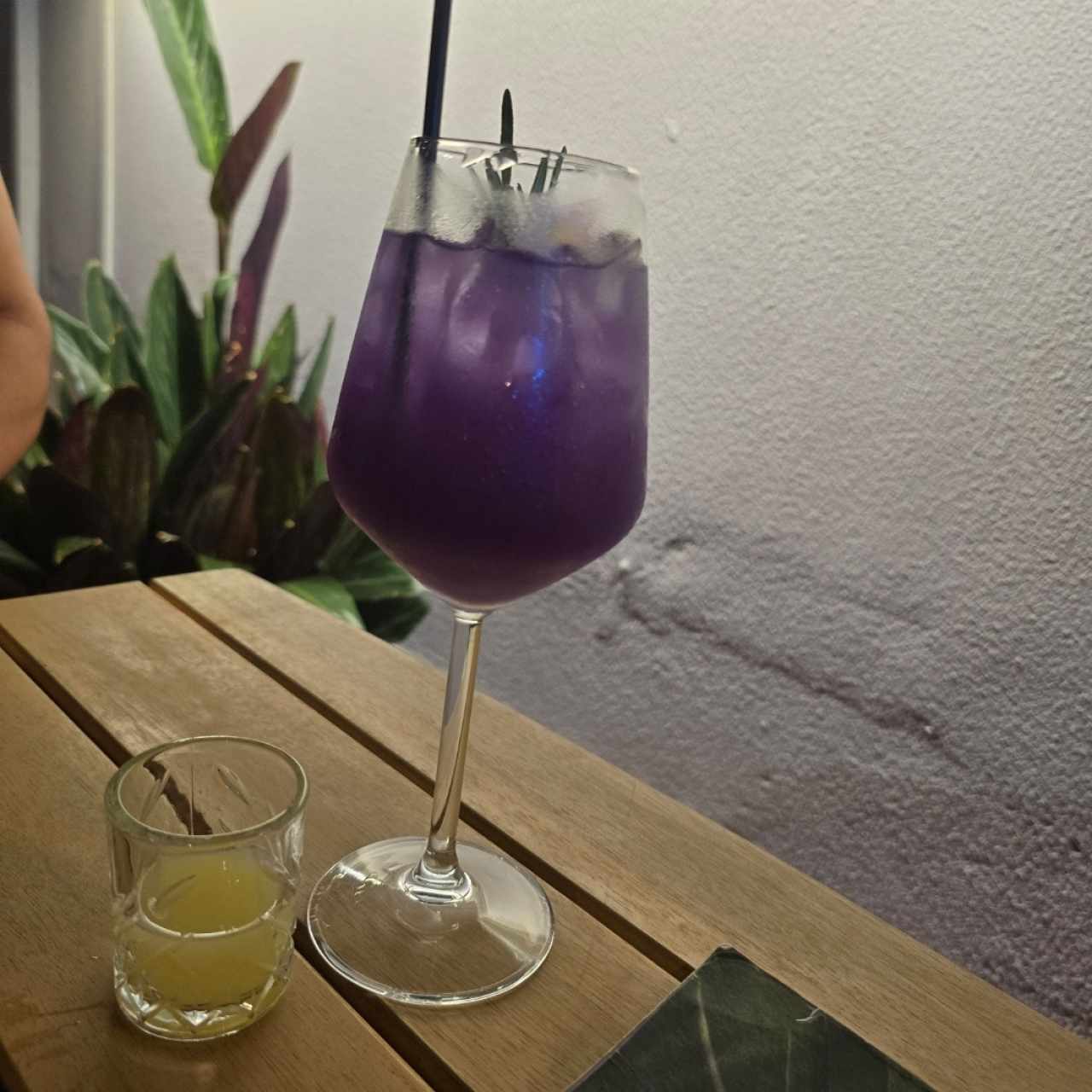 Lavandería moscos mule