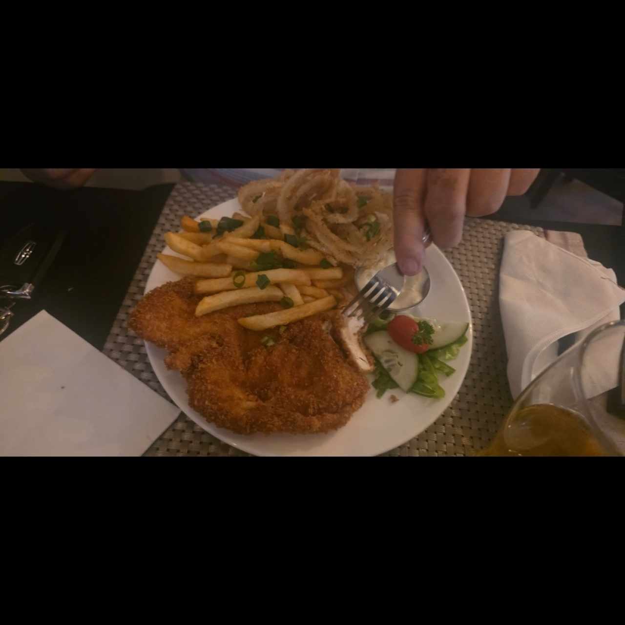 FAVORITOS - SCHNITZEL