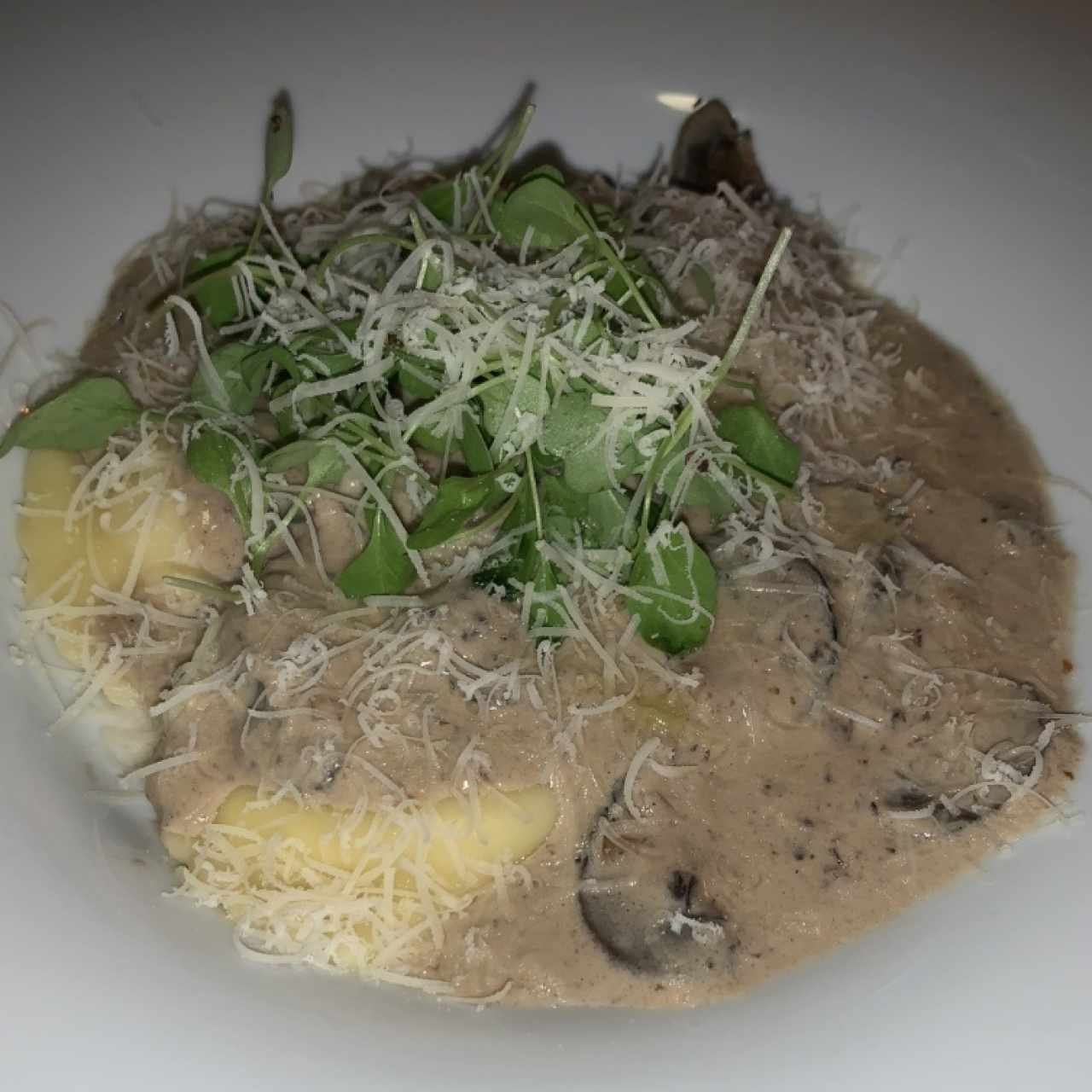 Pasta con salsa bechamel de hongos 